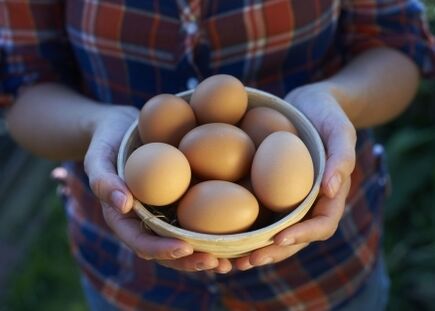benefits of chicken eggs
